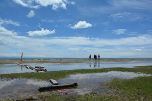 湖畔风光 孤舟静立湿地
