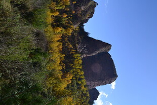 山间秋色 峭壁旁绚烂植被