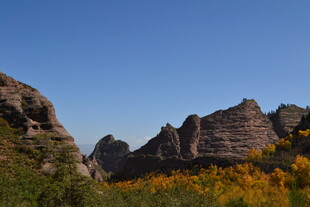 壮丽山景与绚烂花丛