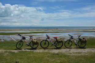 草原边停放的多辆自行车