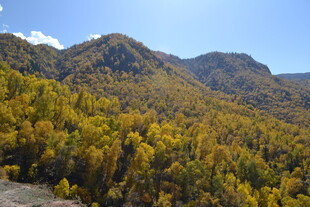 秋日山林壮丽风光