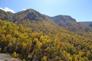 秋日山林美景