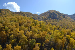 秋日山林壮美风光