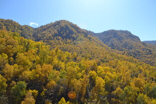 秋日山林美景俯瞰