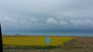 草原田野间的蓝色标识牌