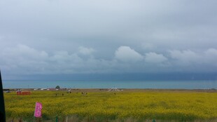 草原远景 天际云霭弥漫