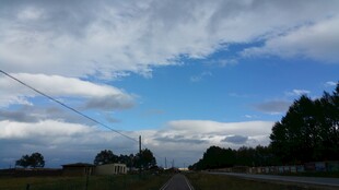 乡村公路边的蓝天绿树