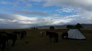 草原上的帐篷与马群