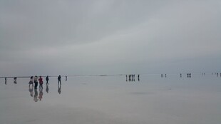 雾中人群于开阔地前行