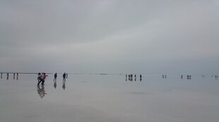 海滩漫步的人群