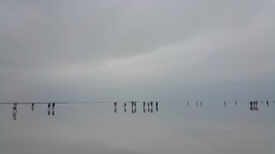 阴天中的架空电线