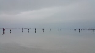 雾中栈桥 朦胧海上景致