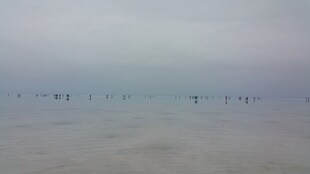 雾中海上的模糊景象