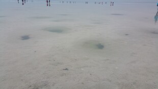 雪地中的神秘凹陷景观