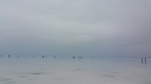 海边朦胧景象 人影绰绰