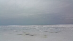 广阔雪地与阴沉天空景象