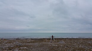 海边独行者的静谧风景