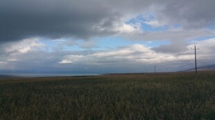 草原上的阴沉天空