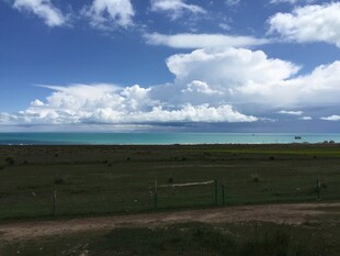 海边草原风光美景
