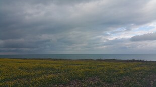 草原上的阴沉天空