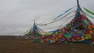 草原上的多彩经幡阵