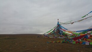 草原上的彩色经幡