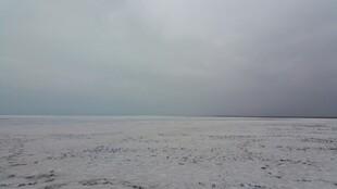 广袤灰蒙的空旷大地