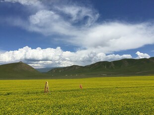 草原风光 蓝天白云青山