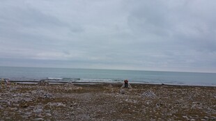 海边荒凉景致 一人伫立