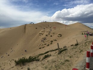 沙漠风光 沙丘与防护设施