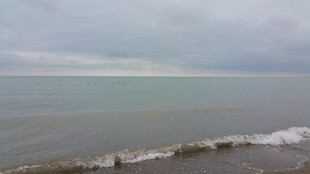 海边风景 海浪轻拍海岸