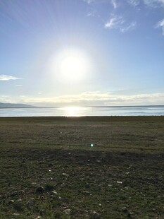 草原上的耀眼阳光