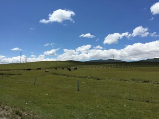 辽阔草原蓝天白云美景