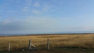 广袤原野与蓝天