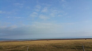 广阔草原上的蓝天美景