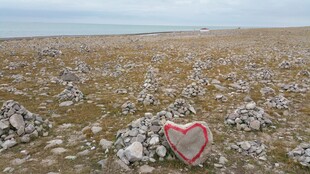 荒野中的爱心石块景观