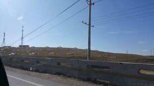 公路旁的电线与开阔风景