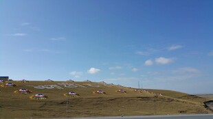 草原风光 蓝天白云下的景致