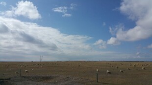 广袤草原上的蓝天白云