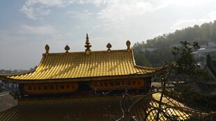 金顶寺庙 尽显庄严之美