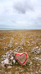 荒野中的爱心石块景观