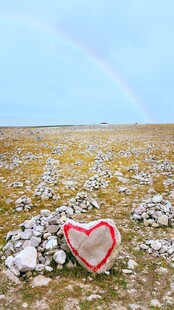草原上的心形装饰与彩虹