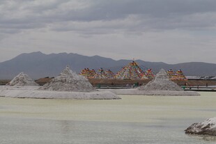荒凉盐湖旁的奇特地貌景观