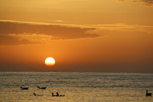 海上日落时的水上活动场景