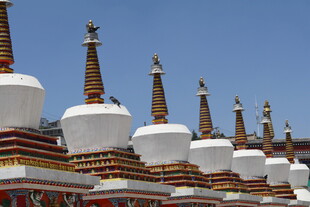 藏式白塔群 蓝天映衬之美