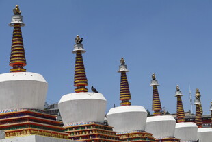 藏式白塔群 蓝天映衬之美