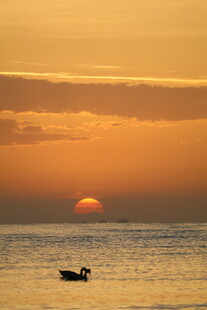 海上落日孤舟美景
