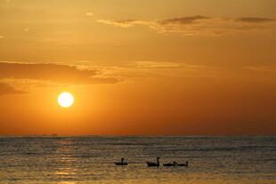 海上日落小船悠然画面