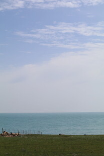 海边草地蓝天美景