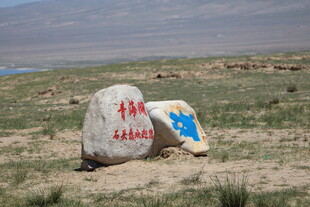 草原上的刻字巨石